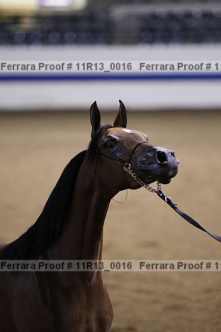 Proof 11r13_0016