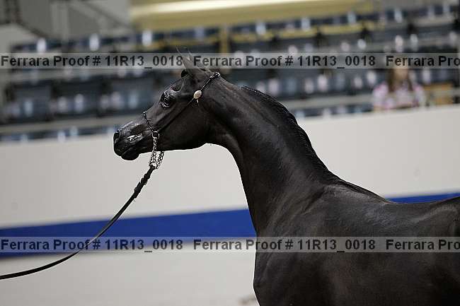 Proof 11r13_0018
