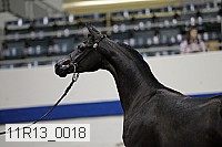 11r13_0018 proof