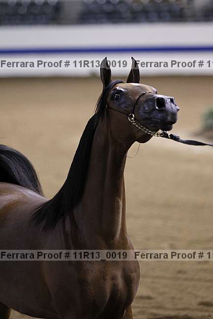 Proof 11r13_0019