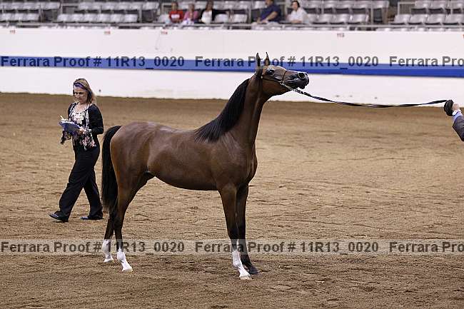Proof 11r13_0020