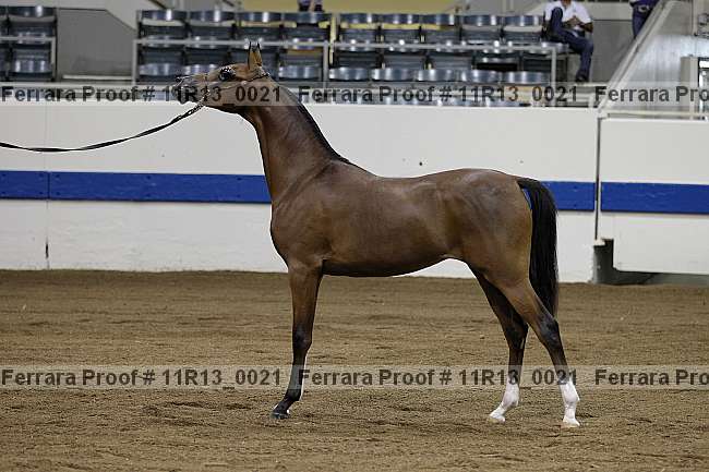 Proof 11r13_0021