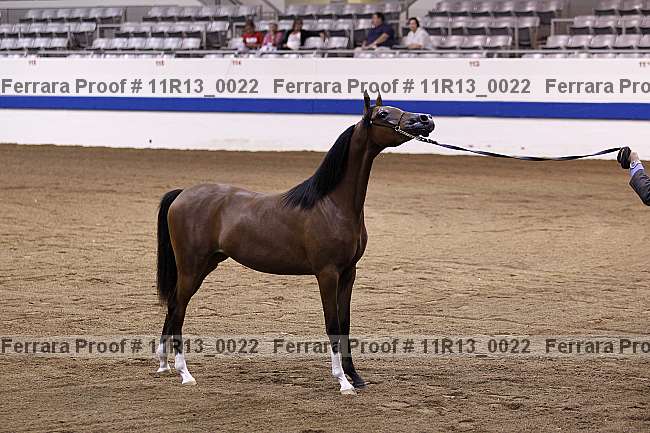 Proof 11r13_0022