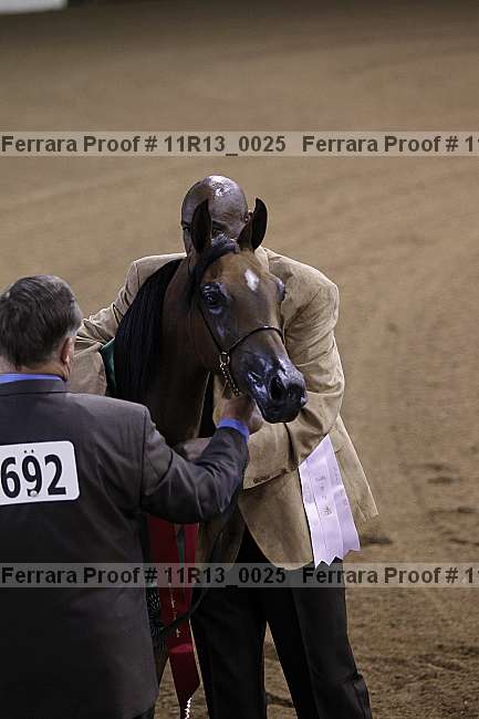 Proof 11r13_0025