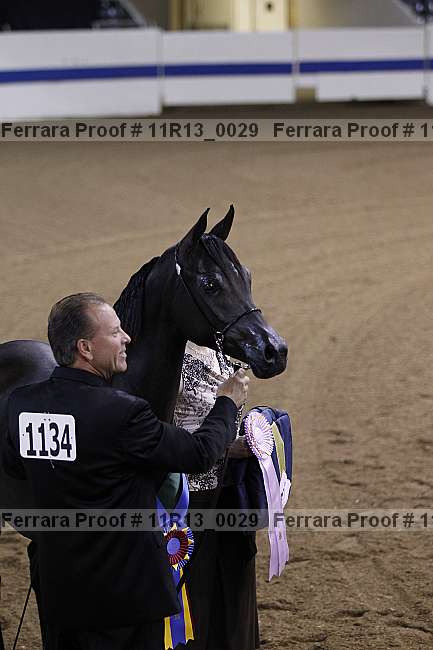 Proof 11r13_0029