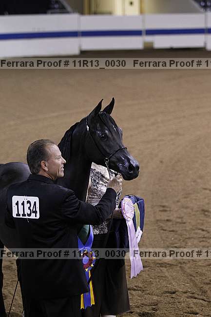 Proof 11r13_0030