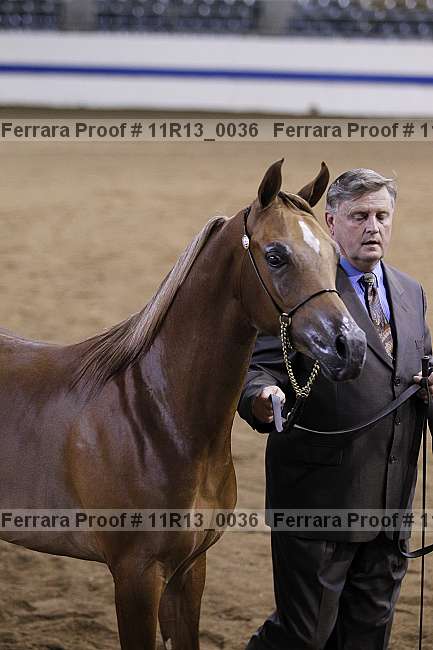 Proof 11r13_0036