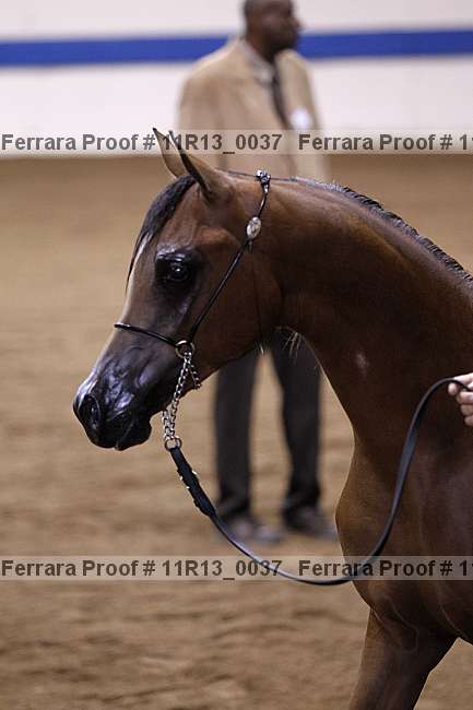 Proof 11r13_0037