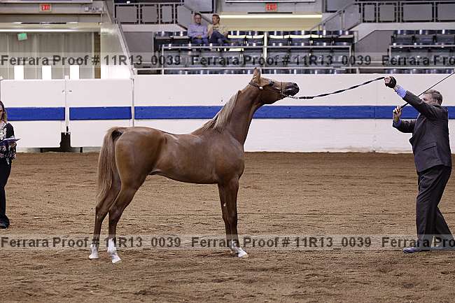 Proof 11r13_0039