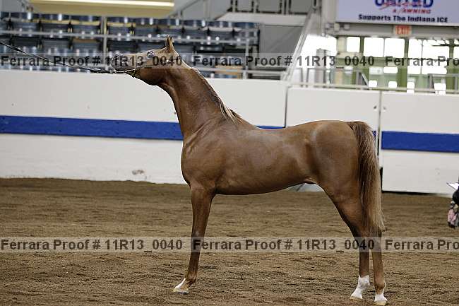 Proof 11r13_0040