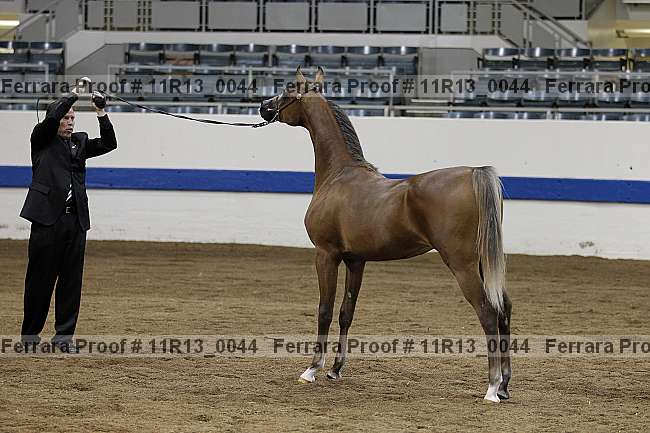 Proof 11r13_0044