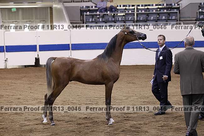 Proof 11r13_0046