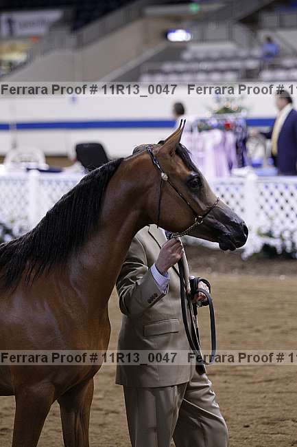 Proof 11r13_0047