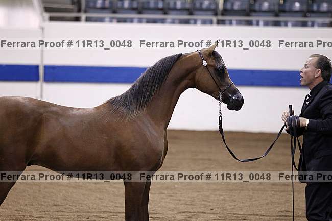 Proof 11r13_0048