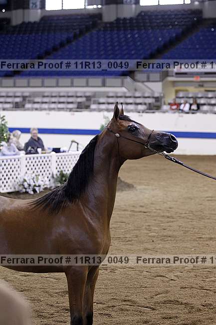 Proof 11r13_0049