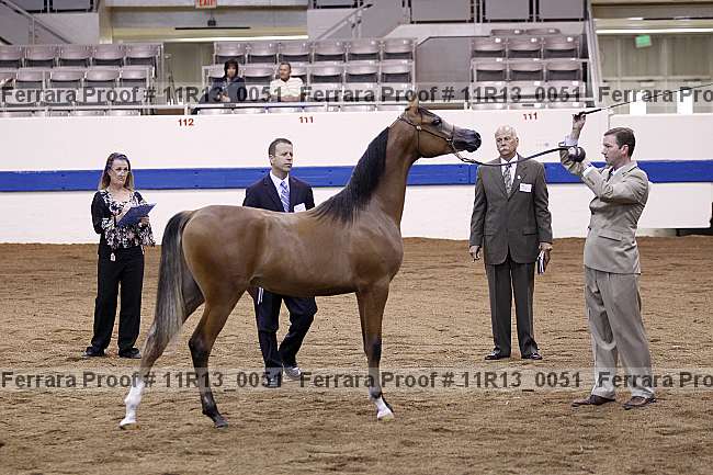 Proof 11r13_0051