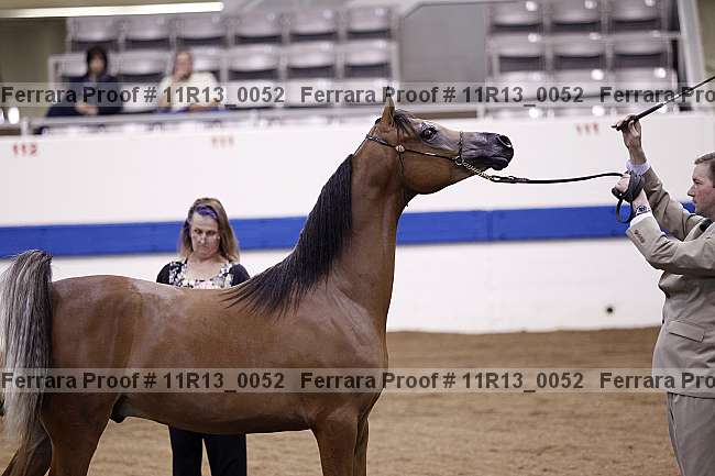 Proof 11r13_0052