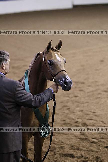 Proof 11r13_0053