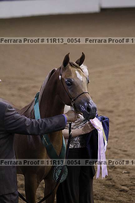 Proof 11r13_0054