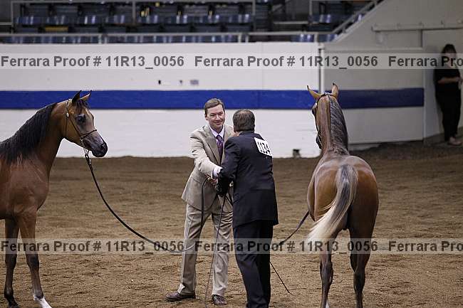 Proof 11r13_0056