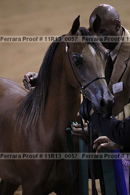 Proof 11r13_0057