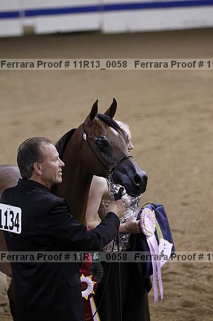 Proof 11r13_0058