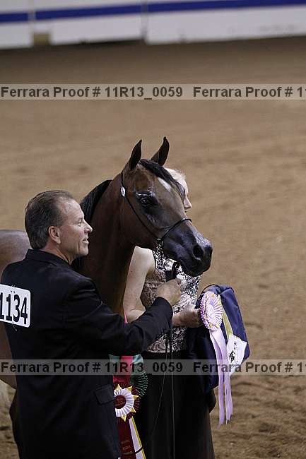 Proof 11r13_0059