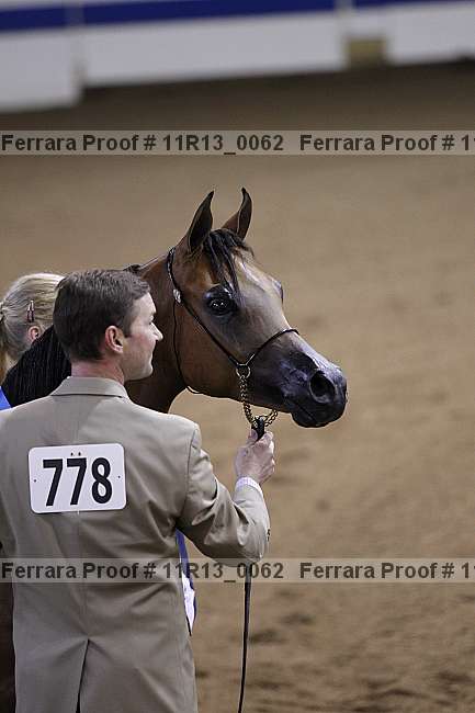Proof 11r13_0062
