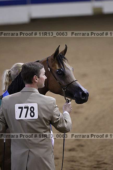 Proof 11r13_0063