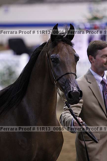 Proof 11r13_0066