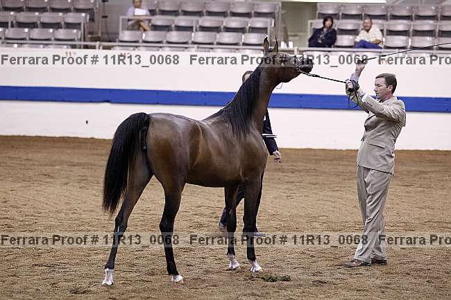 Proof 11r13_0068