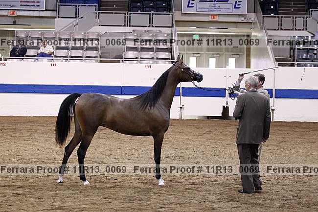 Proof 11r13_0069