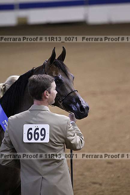 Proof 11r13_0071