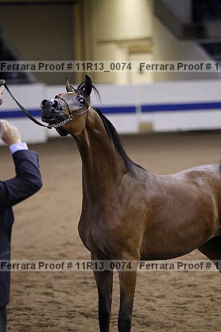 Proof 11r13_0074
