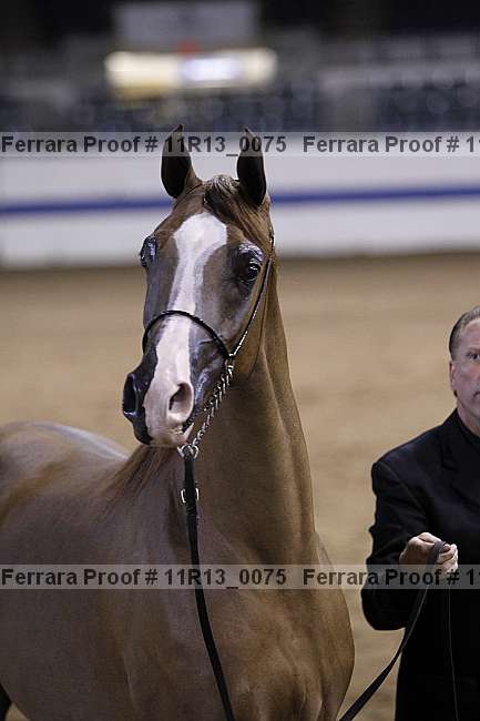 Proof 11r13_0075