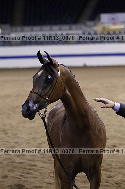 Proof 11r13_0076