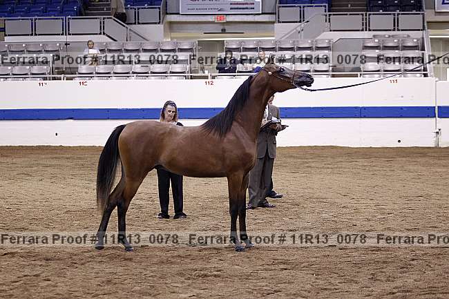 Proof 11r13_0078