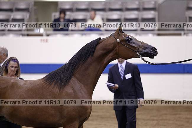 Proof 11r13_0079
