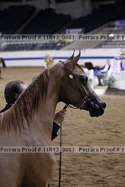 Proof 11r13_0081