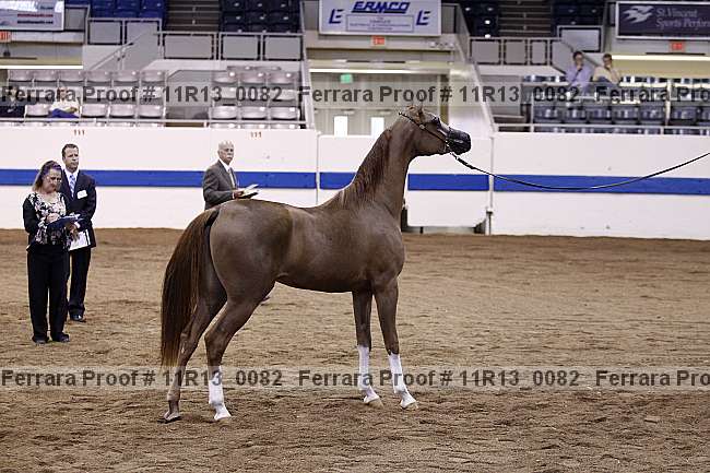 Proof 11r13_0082