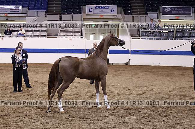 Proof 11r13_0083