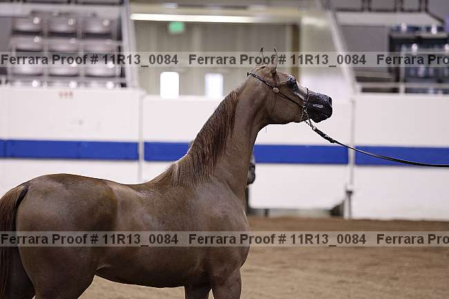Proof 11r13_0084