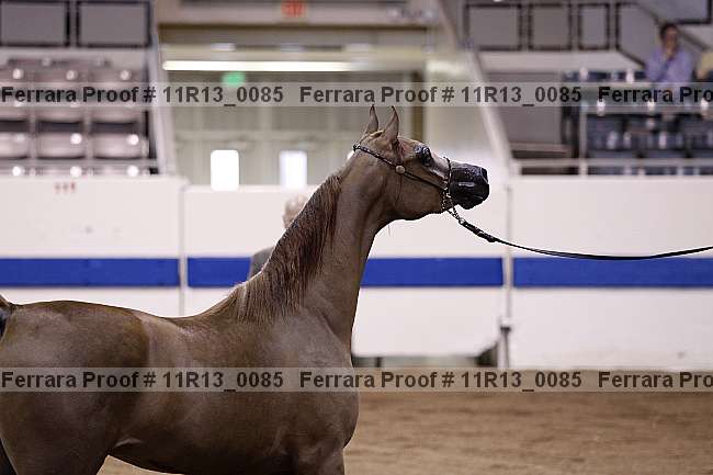 Proof 11r13_0085