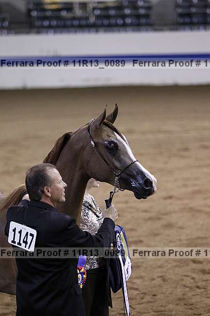Proof 11r13_0089