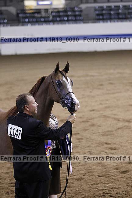 Proof 11r13_0090
