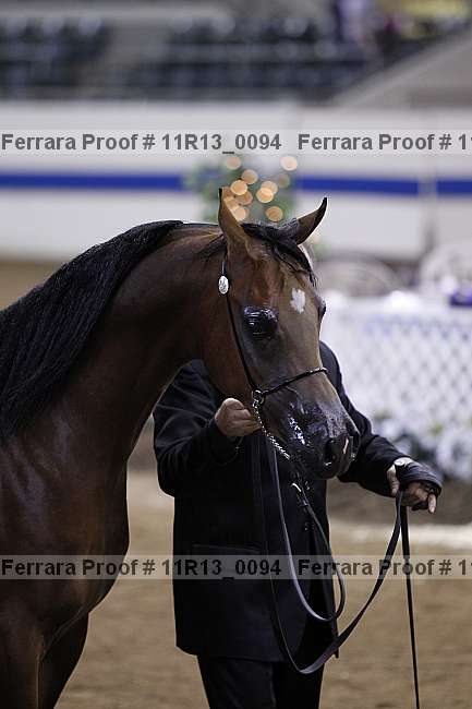 Proof 11r13_0094