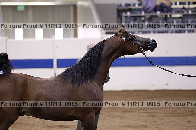 Proof 11r13_0095