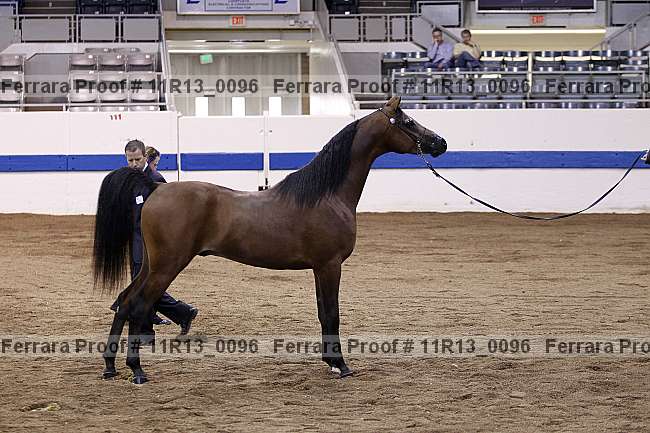 Proof 11r13_0096