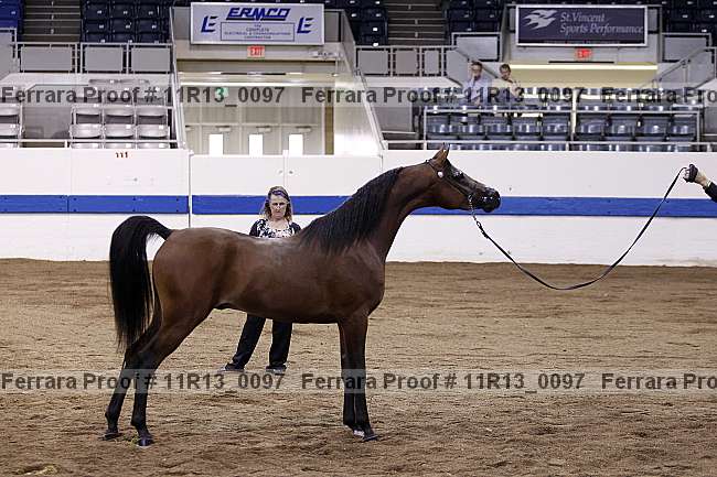 Proof 11r13_0097