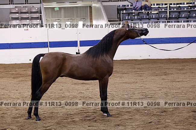 Proof 11r13_0098